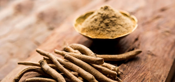 Ashwagandha — 120mg (Shoden® 35% withanolides ≈ 600mg standard)