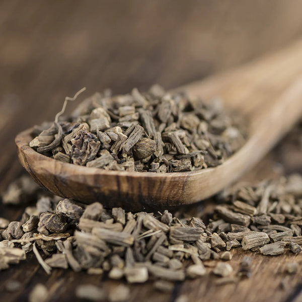 Valerian Root Extract — 2400mg (4:1 extract 600mg)